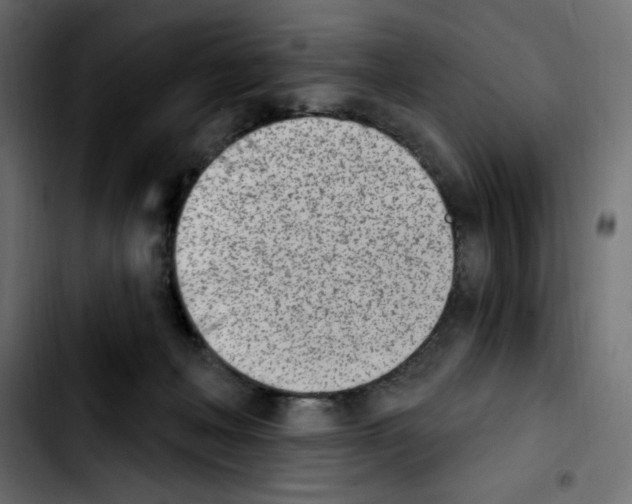X0000103930222200810311524