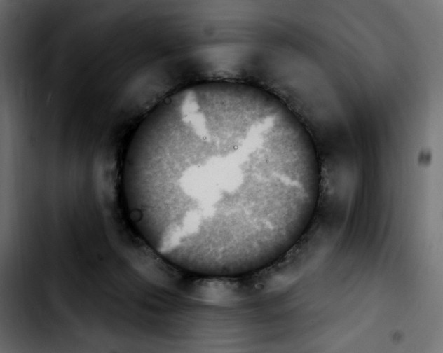 X0000103930223200810311524