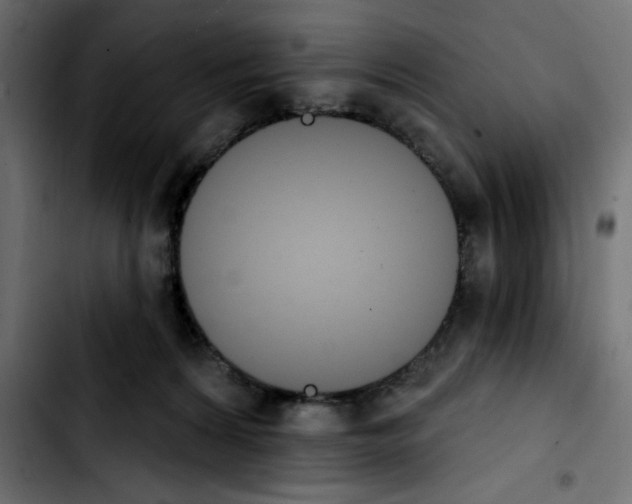 X0000103930224200810311524
