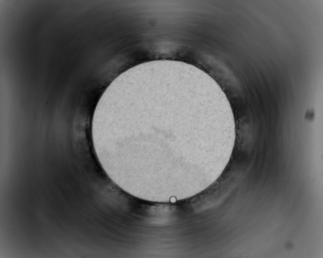 X0000103930225200810311524