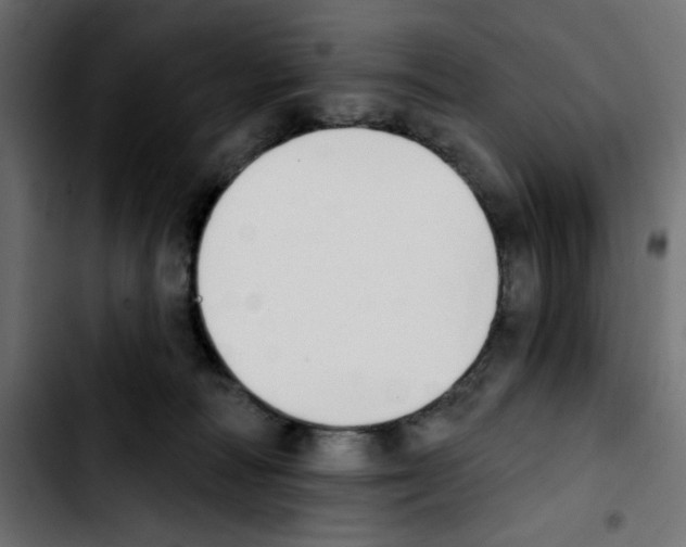 X0000103930226200810311524