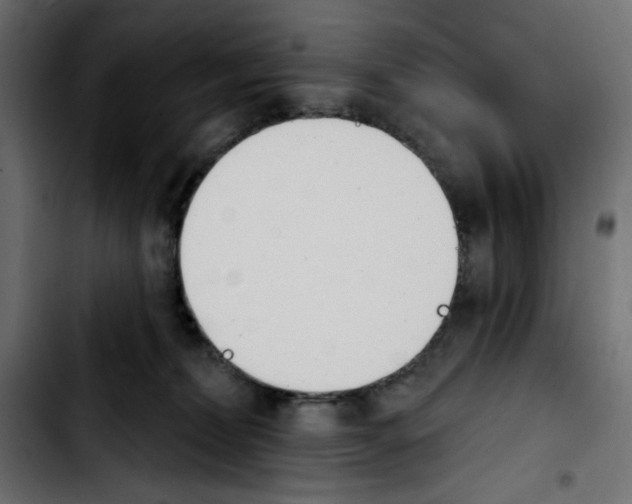X0000103930228200810311524
