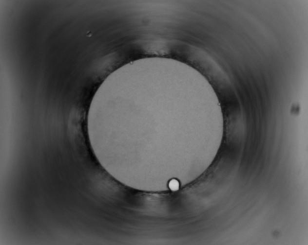 X0000103930229200810311524