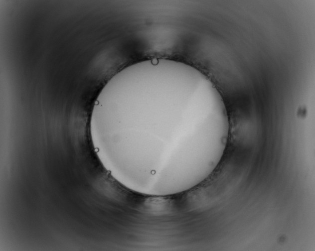 X0000103930231200810311524