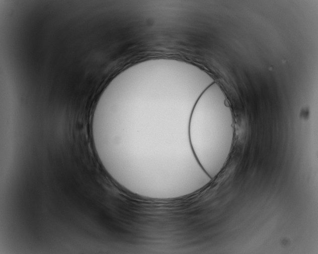 X0000103930233200810311524