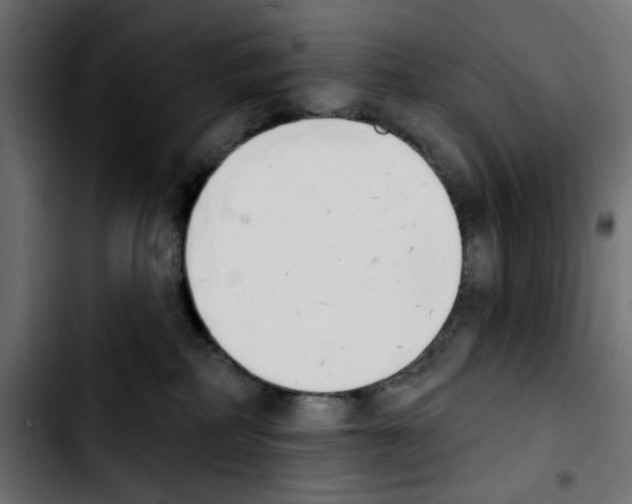 X0000103930234200810311524