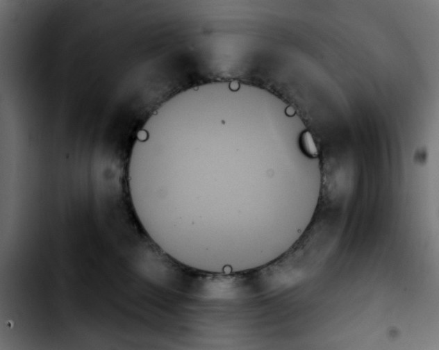 X0000103930235200810311524