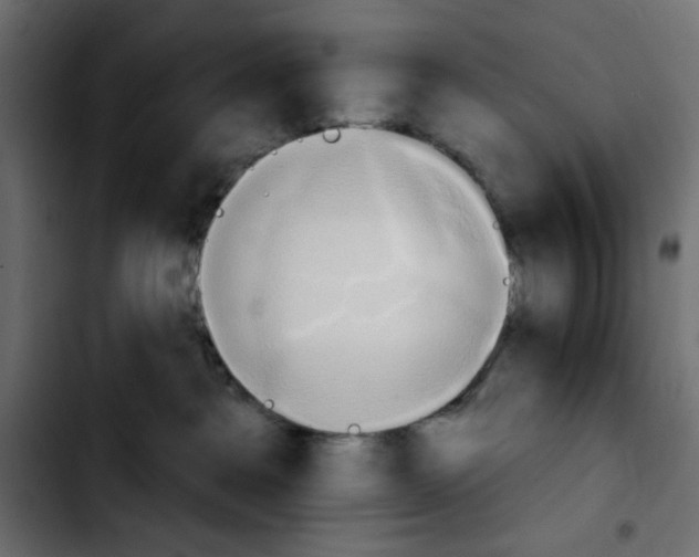 X0000103930237200810311524