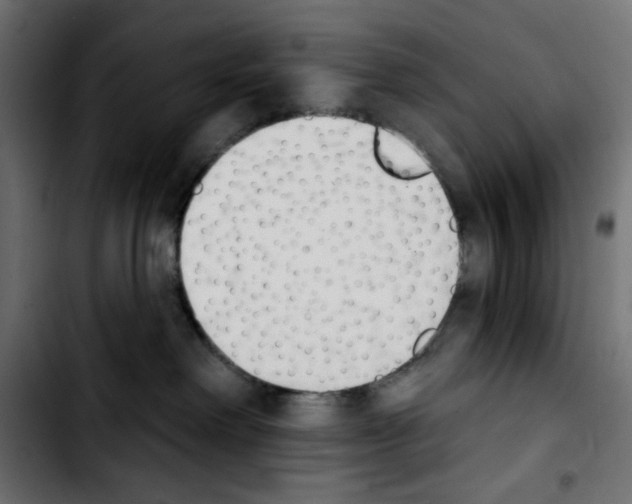 X0000103930238200810311524