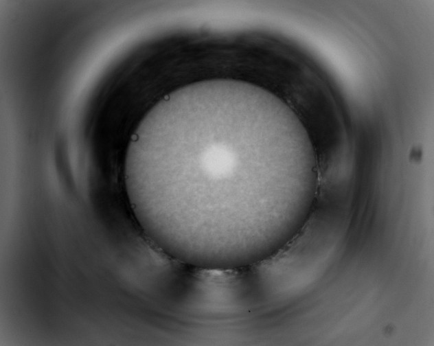 X0000103930239200810311524