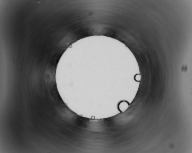 X0000103930240200810311524