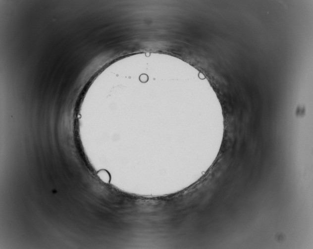 X0000103930242200810311523