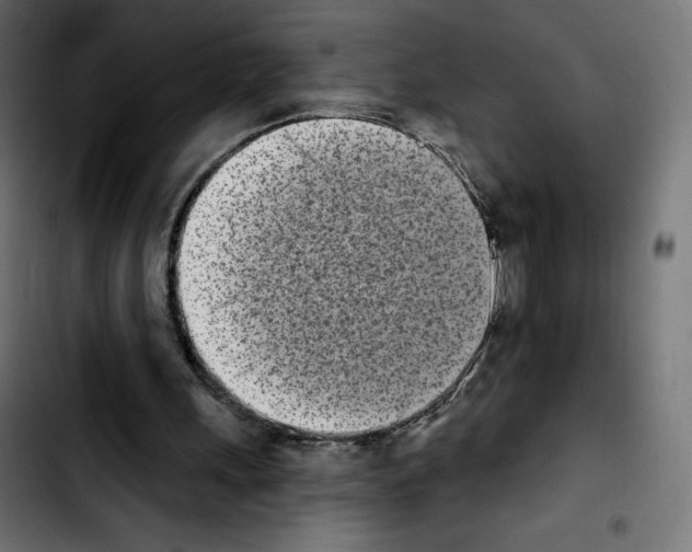 X0000103930243200810311523
