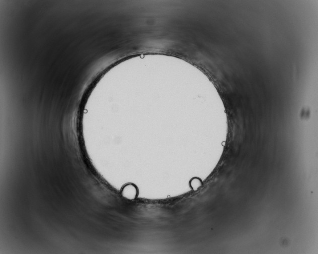 X0000103930244200810311523