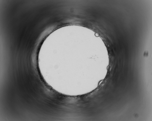 X0000103930245200810311523