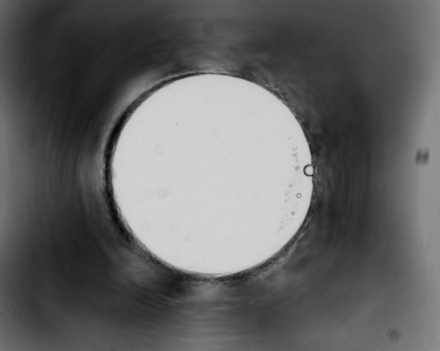 X0000103930246200810311523