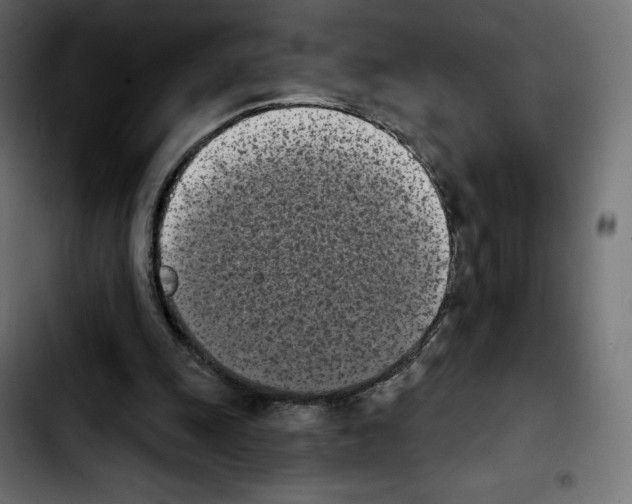 X0000103930247200810311523