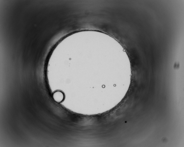 X0000103930248200810311523