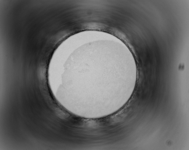 X0000103930249200810311523