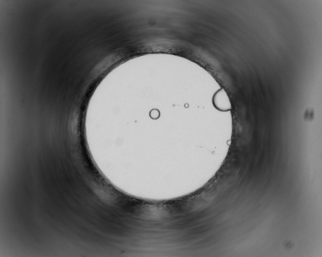 X0000103930250200810311523