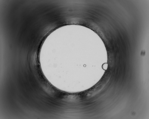 X0000103930251200810311523