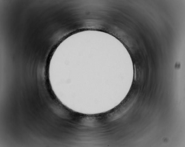 X0000103930252200810311523