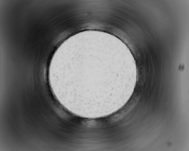 X0000103930253200810311523