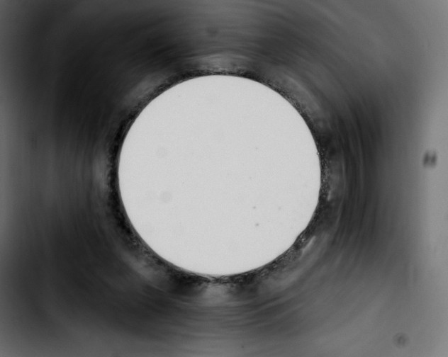 X0000103930255200810311523