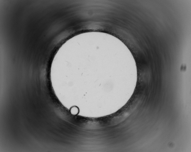 X0000103930256200810311524