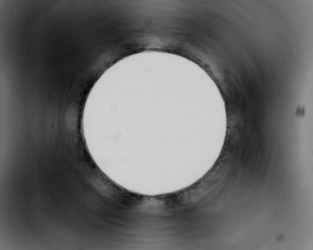 X0000103930257200810311524
