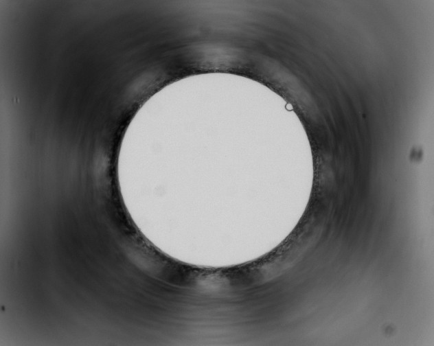 X0000103930258200810311524
