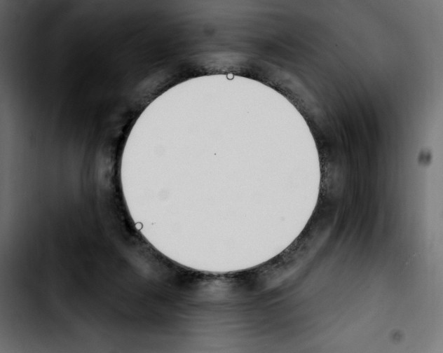 X0000103930259200810311524