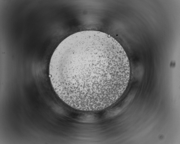 X0000103930260200810311524