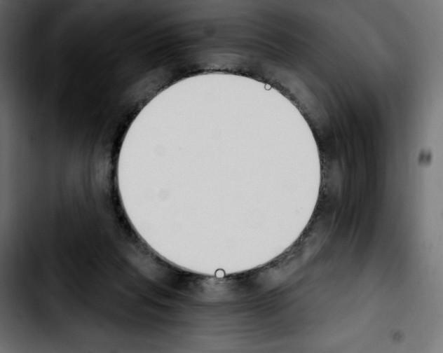 X0000103930261200810311524