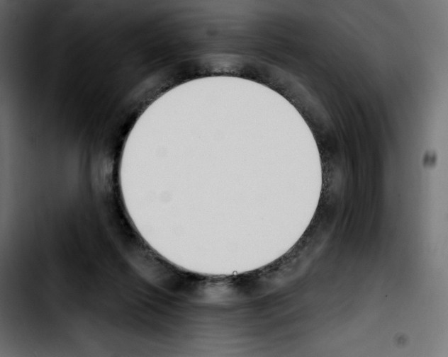 X0000103930262200810311524