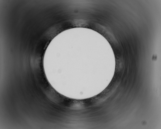 X0000103930263200810311524