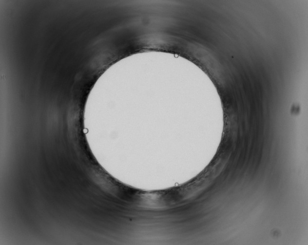 X0000103930265200810311524
