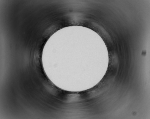 X0000103930266200810311524