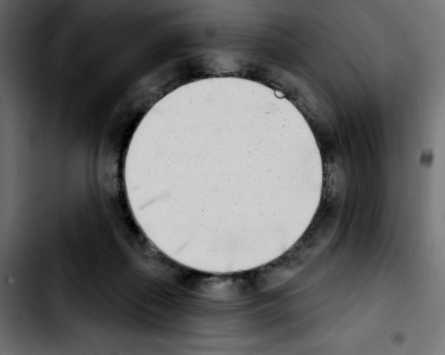 X0000103930267200810311524