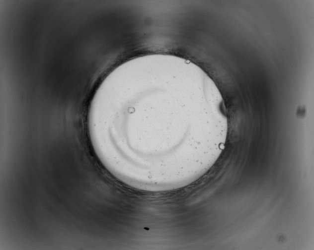 X0000103930268200810311524
