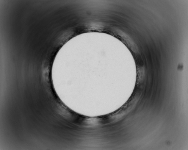 X0000103930269200810311524