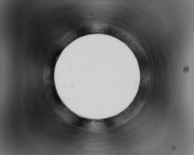 X0000103930270200810311524