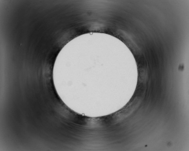 X0000103930273200810311524
