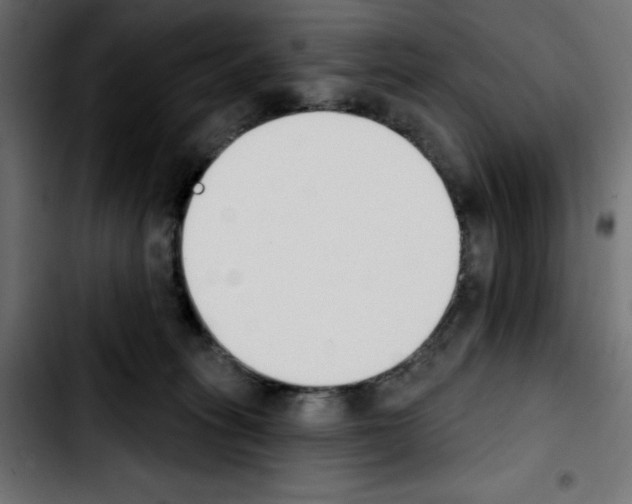 X0000103930275200810311524