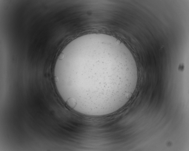 X0000103930276200810311524