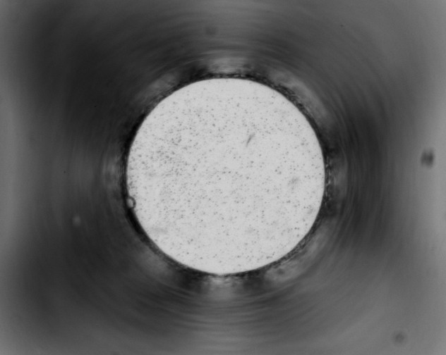 X0000103930277200810311524