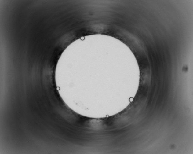 X0000103930279200810311524