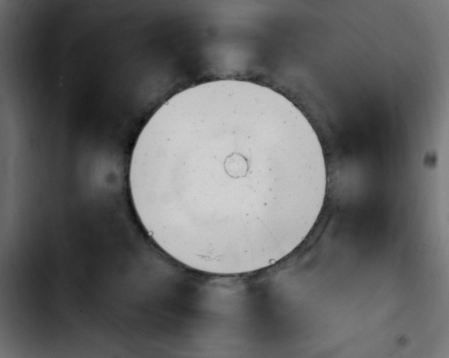 X0000103930280200810311524