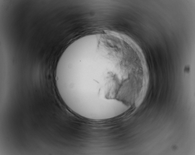 X0000103930281200810311524
