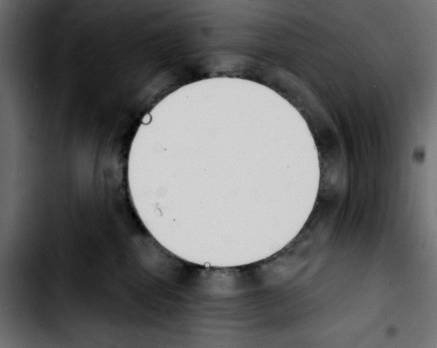 X0000103930282200810311524